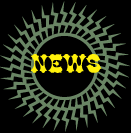 news logo